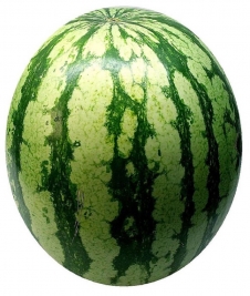 Watermelon (Tarbooj)... Image