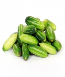 Coccinia (Kundru)... Image