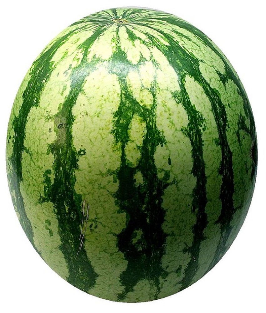 Watermelon (Tarbooj)