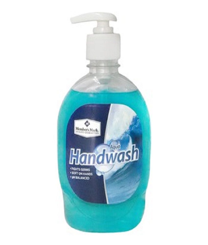 Member's Mark Handwash Aqua Pump