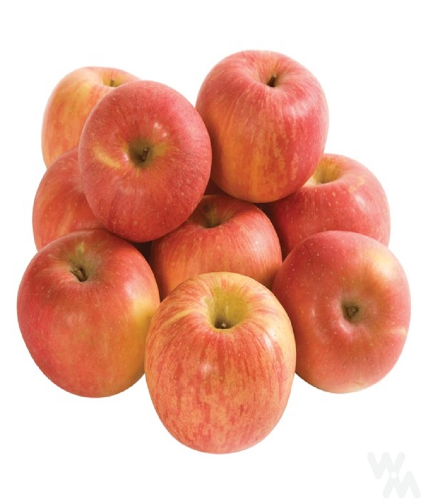 Apple Gala (Seb)