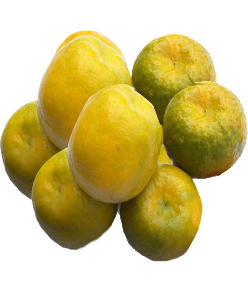 Orange (Santra)