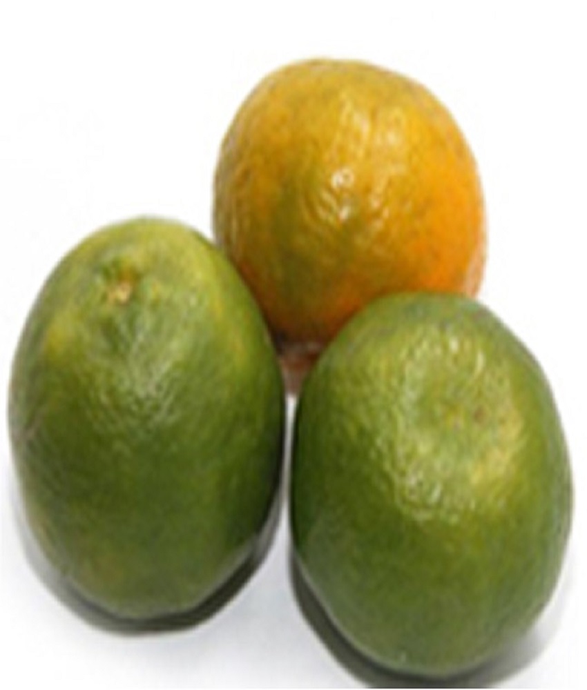 Nagpur Orange (Santra)
